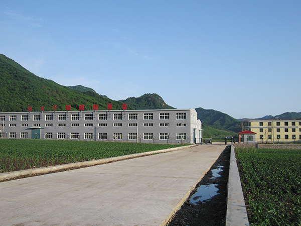 news03.jpg